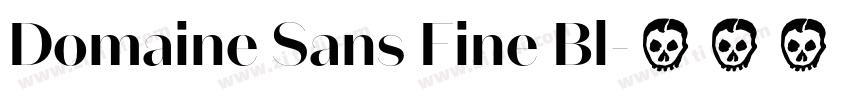 Domaine Sans Fine Bl字体转换